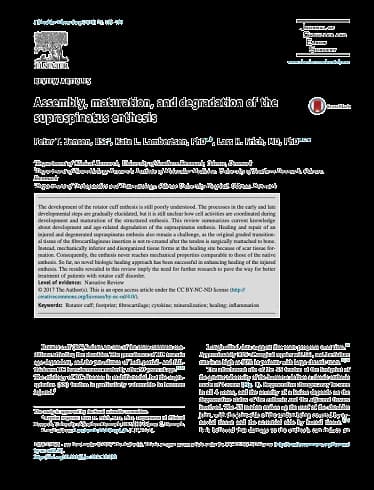 BioEnthesis™: Research article cover — Assembly, Maturation, and Degradation of the Supraspinatus Tendon (Jensen et al, 2018)
