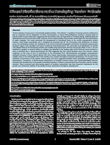 BioEnthesis™: Research article cover — Mineral Distributions at the Developing Tendon Enthesis (Schwartz et al, 2012)